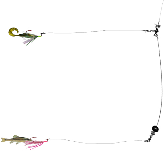 Tough Bite Right Now? Try Rigging a Lizard These 4 Ways. - Wired2Fish